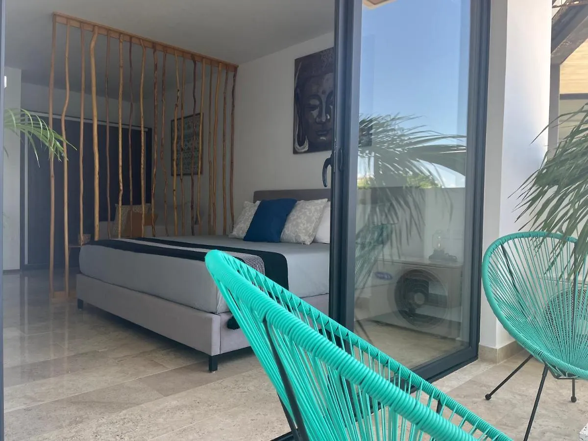 Menesse Midtown 2 206 Y 209 Διαμέρισμα Πλάγια Ντελ Κάρμεν