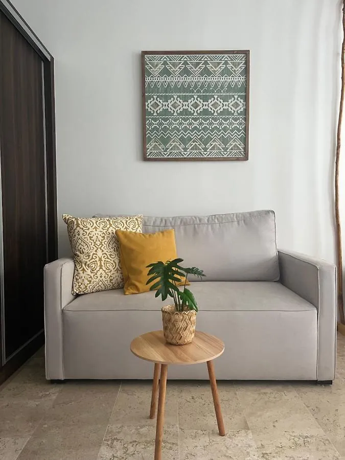 Menesse Midtown 2 206 Y 209 Διαμέρισμα Πλάγια Ντελ Κάρμεν