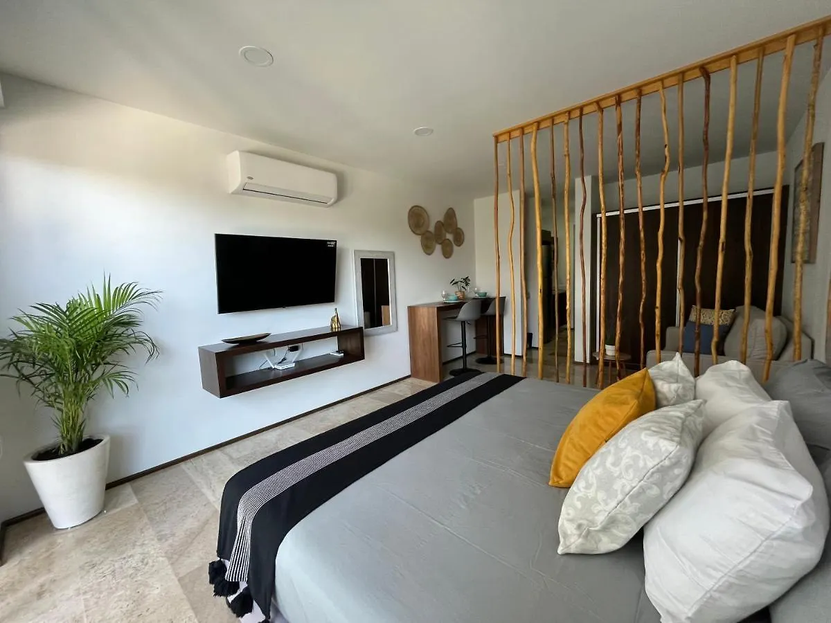 Menesse Midtown 2 206 Y 209 Apartment Playa del Carmen